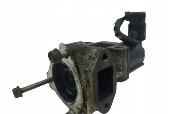 KIA Carnival EGR valve