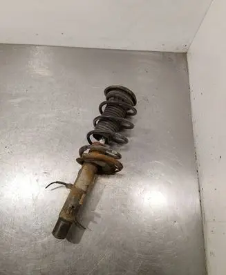Citroen C3 Front shock absorber with coil spring 9672655980