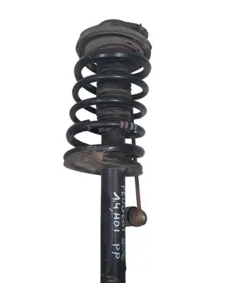 Peugeot 206 Front shock absorber with coil spring