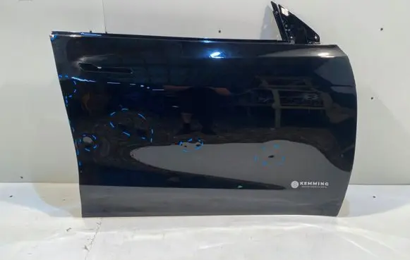 Tesla Model Y Front door