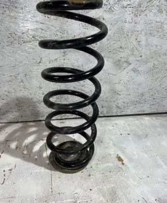 Volkswagen PASSAT B6 Rear coil spring