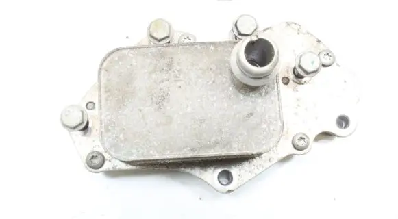 Opel Insignia A Engine oil radiator 55599943
