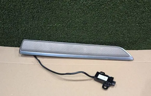 Renault Koleos II Front door trim bar D21701ZG000