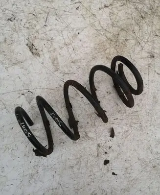Hyundai Santa Fe Rear coil spring