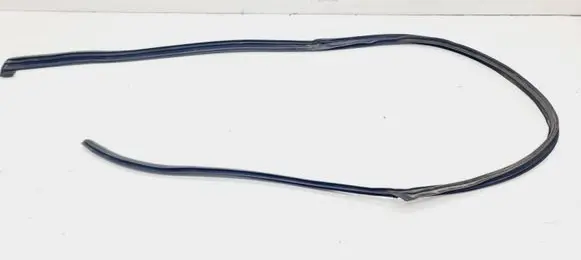 Saab 9-5 Front door rubber seal