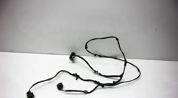 Volkswagen PASSAT CC Parking sensor (PDC) wiring loom 3C8971095