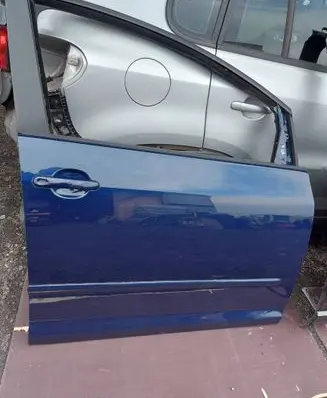 Volkswagen Golf Plus Front door 