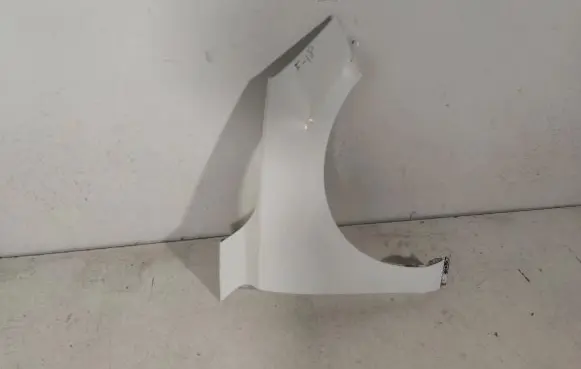 Ford Focus Fender