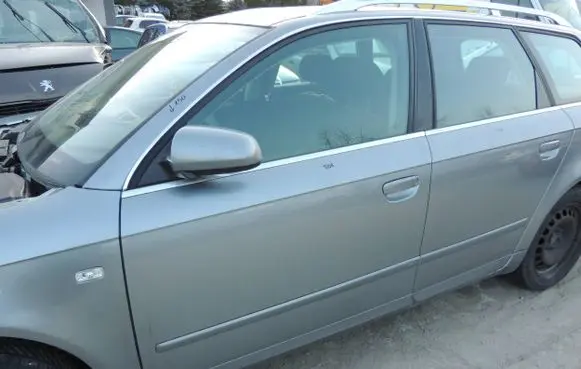 Audi A4 S4 B7 8E 8H Front door
