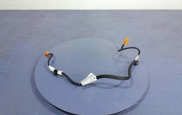 Other wiring loom