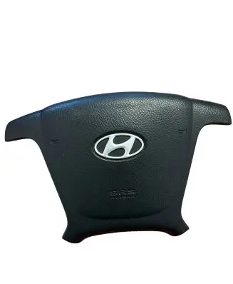 Hyundai Santa Fe Steering wheel airbag SA1025500 16909508