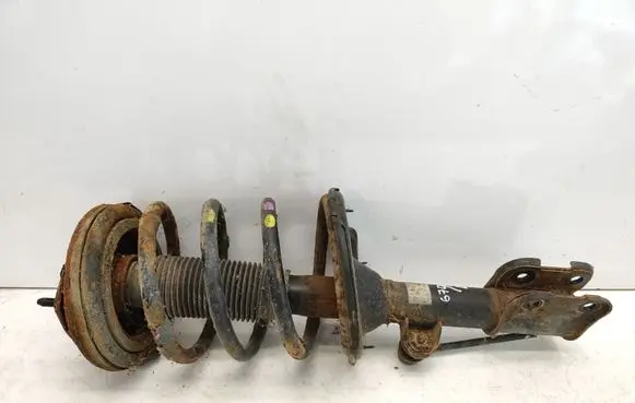 Hyundai Santa Fe Front shock absorber with coil spring