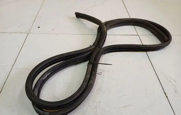 Renault Scenic I Rubber seal front coupe door 