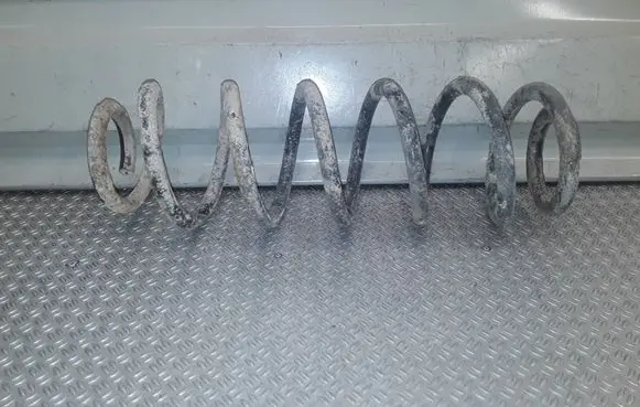 Volkswagen Golf V Rear coil spring 