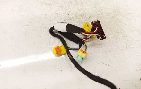 Tesla Model S Other wiring loom A2045452626