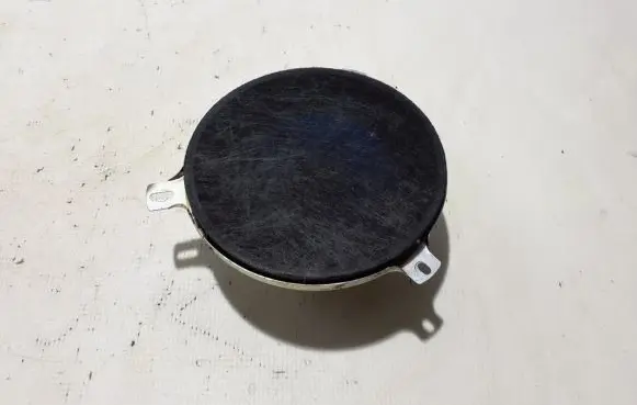 Rear door speaker