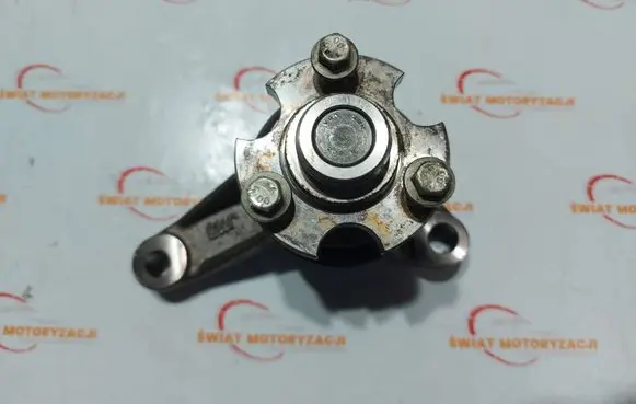 Land Rover Range Rover Sport L320 Belt tensioner pulley 4H2Q8609AC