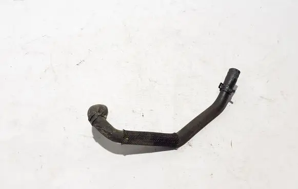 Dacia Spring Engine coolant pipe/hose 295H10481R