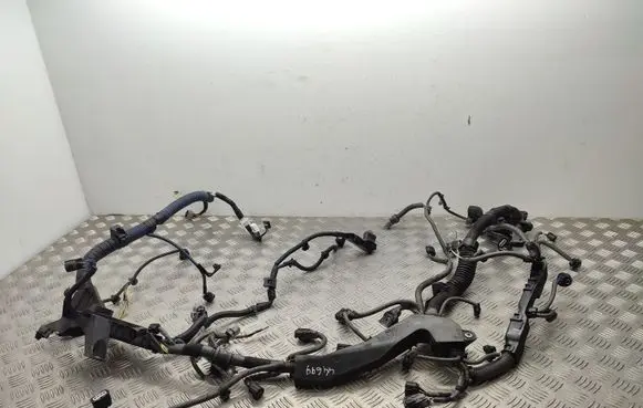Engine installation wiring loom