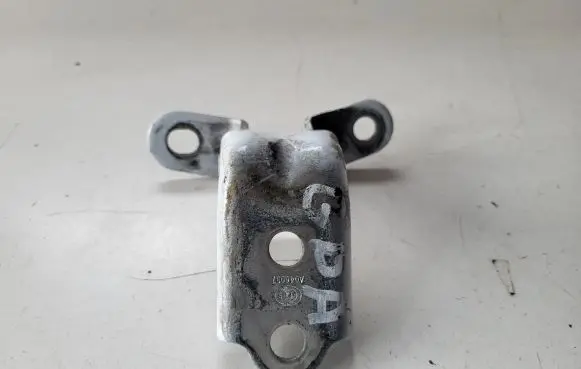 KIA Sportage Rear door lower hinge