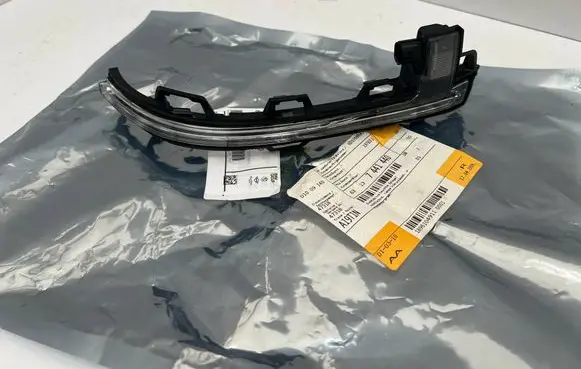 BMW X3 G01 Mirror indicator light 7441440
