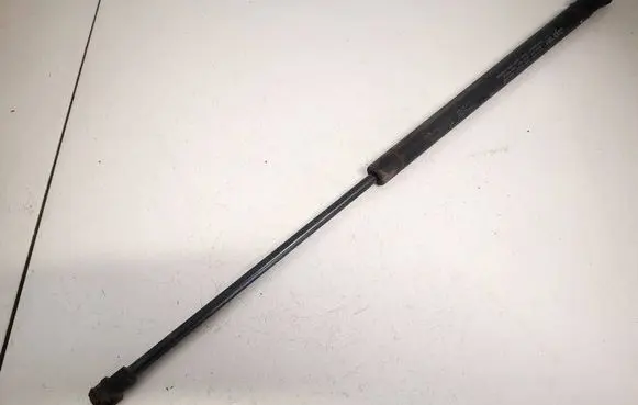 Tailgate/trunk strut/damper
