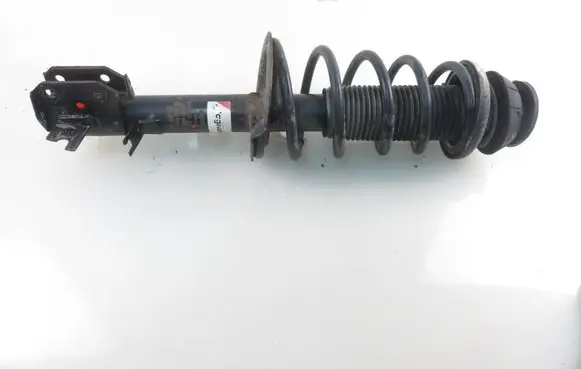Fiat Sedici Front shock absorber with coil spring AGF111MT