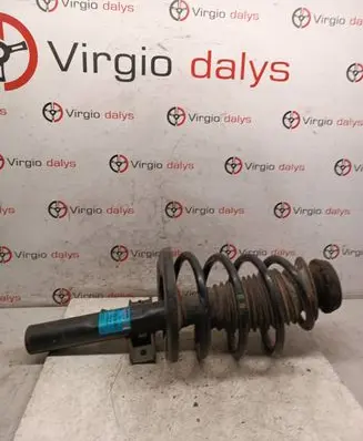 Ford Galaxy Front shock absorber with coil spring 824903007194 1500200419 200419