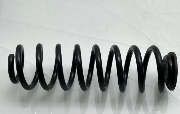 Toyota RAV 4 (XA50) Rear coil spring 4825747020
