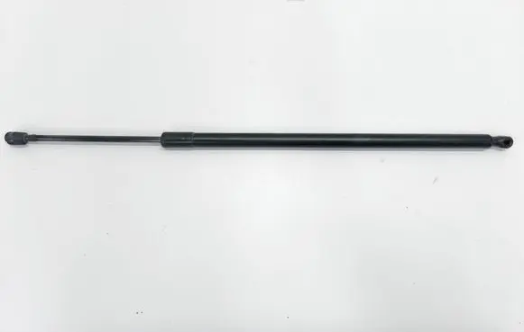Tailgate/trunk strut/damper