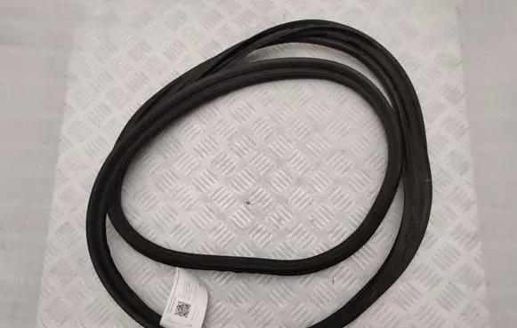 Trunk rubber seal (body)