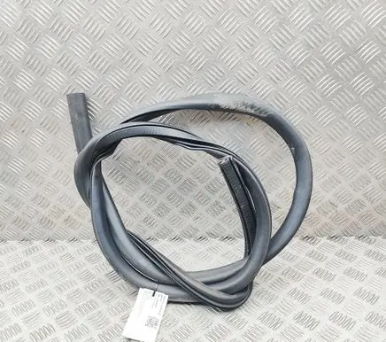 Ford Mustang Mach-E Rubber seal rear door LJ8BR253A10AD