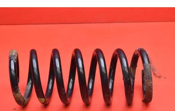 Rear coil spring