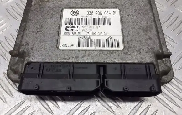 Skoda Fabia Mk1 (6Y) Engine mount bracket 036906034BL