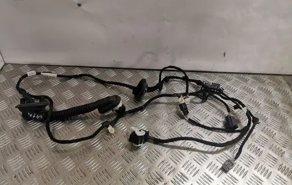 Rear door wiring loom