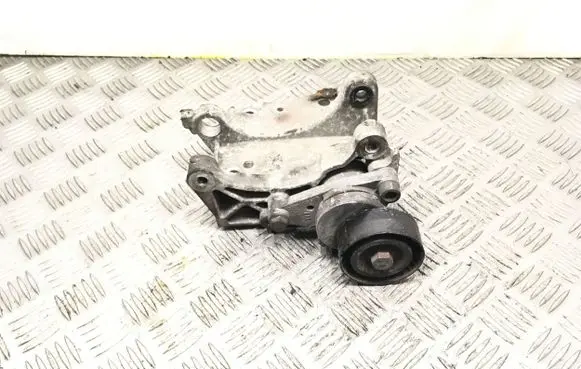 Peugeot 307 Alternator belt tensioner E5025A11053C 9652073680