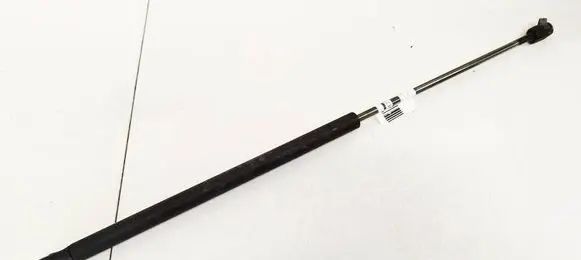 Tailgate/trunk strut/damper