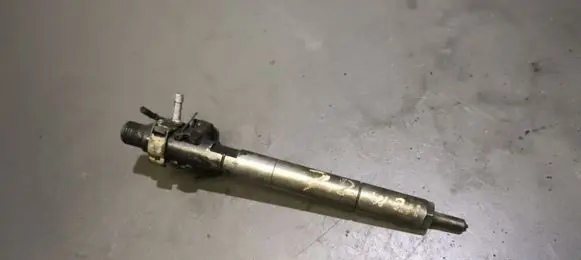 Mercedes-Benz E W211 Fuel injector A6460700987