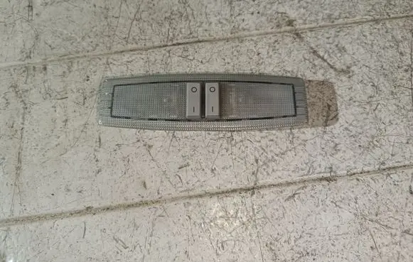 Opel Zafira B Rear seat light 13101641