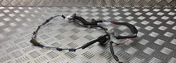 Toyota Avensis T220 Rear door wiring loom