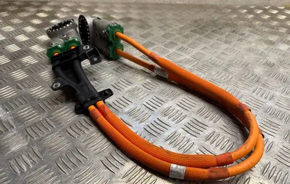 BMW iX Other wiring loom 11792