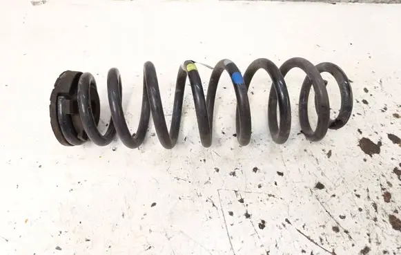 Hyundai Ioniq Rear coil spring