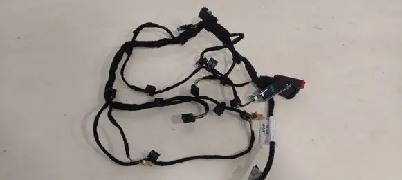Front door wiring loom