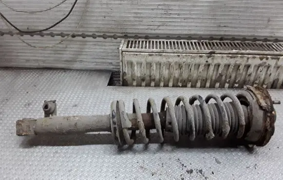 Alfa Romeo 166 Rear shock absorber with coil spring 