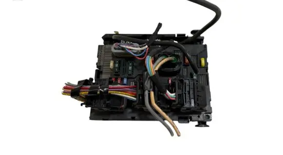 Peugeot 307 BSM Control unit 9664055580