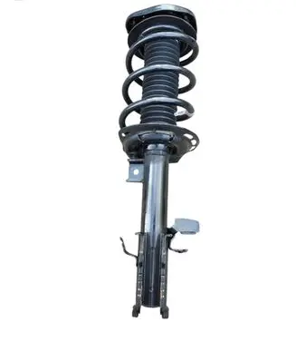 Ford Kuga III Front shock absorber with coil spring LX61-18045-SBD
