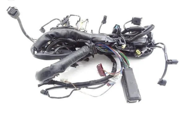 Mercedes-Benz CLK A209 C209 Front door wiring loom A6461502033