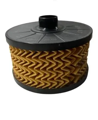Renault Clio IV Oil filter cover 152095084R