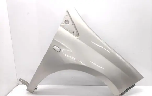 Fiat Bravo Fender