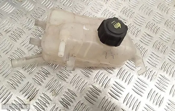 Renault Scenic RX Coolant expansion tank/reservoir 217100005r
